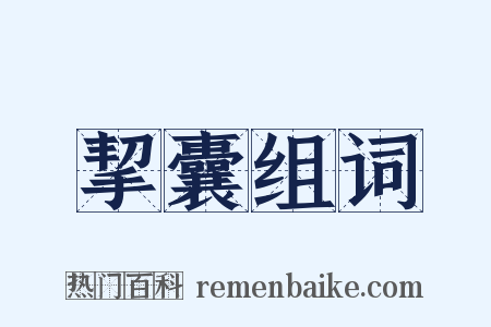 挈囊组词是什么意思的图片